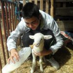 José Antonio González