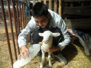 Segunda categoría (de 15 a 17 años). Accésit. José Antonio González González, de 15 años, de Segovia