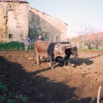 Premio Lidia Gómez Sainz