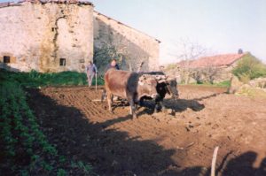 Premio Lidia Gómez Sainz