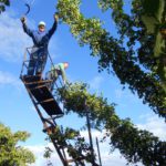 Premio: Lourdes Martínez Llamas