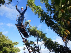 Premio: Lourdes Martínez Llamas