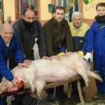 La matanza, una tradición que va a menos La matanza