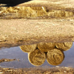 Javier Matellán Pérez