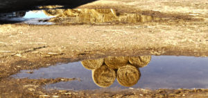 Segunda categoría (de 15 a 17 años). Premio. Javier Matellán Pérez, de 16 años, de El Burgo Ranero (León)