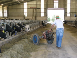 Propuestas de futuro para los jóvenes agricultores de Castilla y León