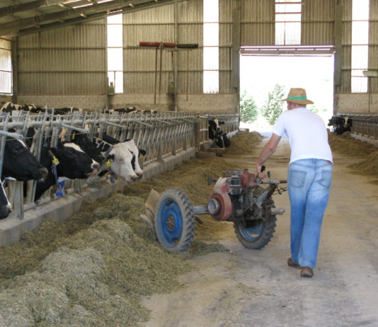 ASAJA de Castilla y León pide que los agricultores, en su condición de autónomos, puedan seguir eligiendo libremente su base de cotización a la seguridad social Propuestas de futuro para los jóvenes agricultores de Castilla y León