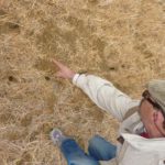 La Junta permitirá el volteo en varias comarcas para frenar el avance del topillo Los topillos causan estragos en Alemania