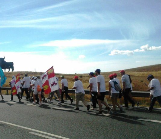 Trece toros de punta a punta Trece toros de punta a punta