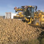 Devolución de las cotizaciones a la producción por las entregas de remolacha en la campaña 2000/2001 ASAJA pide a las administraciones que estén vigilantes ante el fin del sistema de cuotas de remolacha