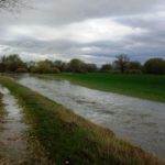 Seguros: ampliación del plazo de comunicación de siniestros por no nascencia en herbáceos extensivos ASAJA advierte sobre las pérdidas en miles de hectáreas agrícolas anegadas por el agua