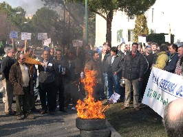 COMENZARON LAS CONCENTRACIONES DE GANADEROS DE LECHE COMENZARON LAS CONCENTRACIONES DE GANADEROS DE LECHE