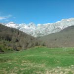 Ayudas a actividades que se desarrollen en áreas de reservas de la biosfera y de parques nacionales ASAJA apoya que se mantenga la práctica sostenible de la caza en los parques nacionales