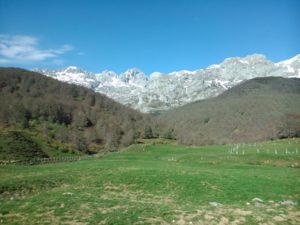 ASAJA apoya que se mantenga la práctica sostenible de la caza en los parques nacionales