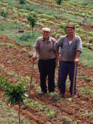 ASAJA APLAUDE EL ACUERDO PP PSOE PARA REFORMAR LA LEY DE EXTRANJERIA ASAJA APLAUDE EL ACUERDO PP PSOE PARA REFORMAR LA LEY DE EXTRANJERIA