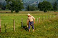 LOS AGRICULTORES COBRAN SEGÚN VENGA EL AÑO CON ELECCIONES O NO LOS AGRICULTORES COBRAN SEGÚN VENGA EL AÑO CON ELECCIONES O NO