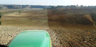 Prorrogadas hasta final de año las ayudas al gasóleo agrícola ASAJA pide al Ministerio que se mantenga firme en la defensa del agricultor activo