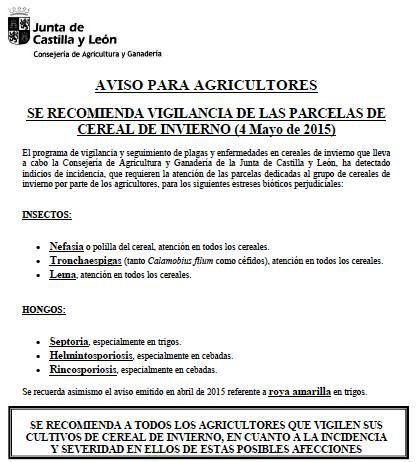 Agricultura amplía la alerta por presencia de hongos e insectos en los cereales de Castilla y León Agricultura amplía la alerta por presencia de hongos e insectos en los cereales de Castilla y León