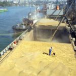 Escenario de guerra ASAJA valora que la Comisión Europea doble los derechos de importación de maíz y cereales