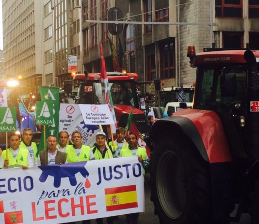 ASAJA de Castilla y León lleva hasta Bruselas la defensa de los ganaderos de leche ASAJA de Castilla y León lleva hasta Bruselas la defensa de los ganaderos de leche