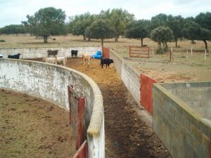 ASAJA ve pocos avances