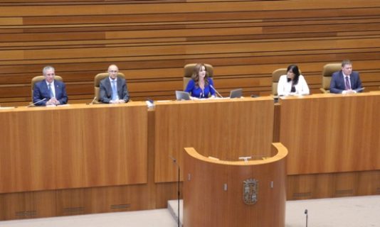 ASAJA pide que se abra una nueva etapa de interlocución en las Cortes de Castilla y León ASAJA pide que se abra una nueva etapa de interlocución en las Cortes de Castilla y León