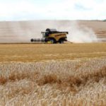 Las cuentas no salen Ola de calor: la Junta pide extremar las medidas de precaución en la recolección de cereal