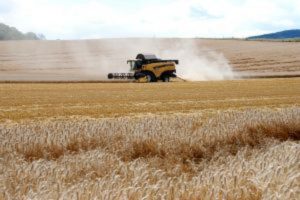 Ola de calor: la Junta pide extremar las medidas de precaución en la recolección de cereal