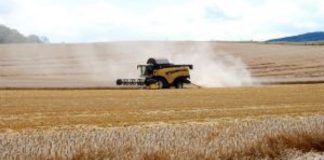 Las Opas de Castilla y León apuntan a la responsabilidad de los operadores comerciales en la crisis de precios de los cereales Ola de calor: la Junta pide extremar las medidas de precaución en la recolección de cereal