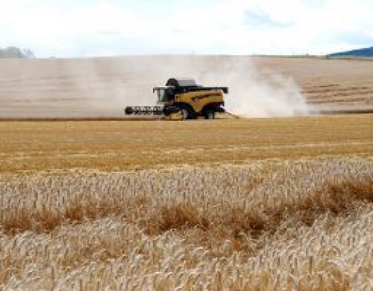 Arranca con fuerza la semana en los mercados internacionales del cereal Ola de calor: la Junta pide extremar las medidas de precaución en la recolección de cereal