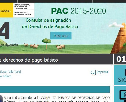 Ya pueden consultarse los derechos definitivos de pago básico Ya pueden consultarse los derechos definitivos de pago básico