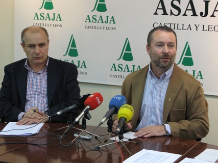 Los malos resultados de producción y precios del sector cerealista arrastran a la baja la renta agraria de 2014 Los malos resultados de producción y precios del sector cerealista arrastran a la baja la renta agraria de 2014