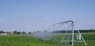 Importes unitarios definitivos de los Ecorregímenes para la campaña 2025 6.114 titulares de Castilla y León participarán en la encuesta sobre estructuras de explotaciones agrarias del INE
