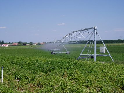 6.114 titulares de Castilla y León participarán en la encuesta sobre estructuras de explotaciones agrarias del INE 6.114 titulares de Castilla y León participarán en la encuesta sobre estructuras de explotaciones agrarias del INE
