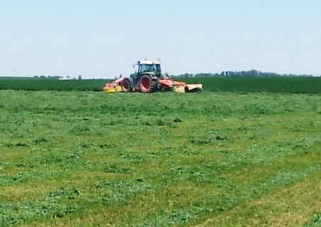 ASAJA solicita que la Consejería haga esta campaña excepciones en los compromisos de las ayudas agroambientales ASAJA solicita que la Consejería haga esta campaña excepciones en los compromisos de las ayudas agroambientales