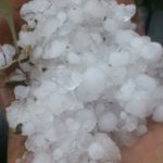 Pánico a las tormentas El retraso de la campaña y las tormentas complican la cosecha en Castilla y León