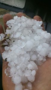 El retraso de la campaña y las tormentas complican la cosecha en Castilla y León