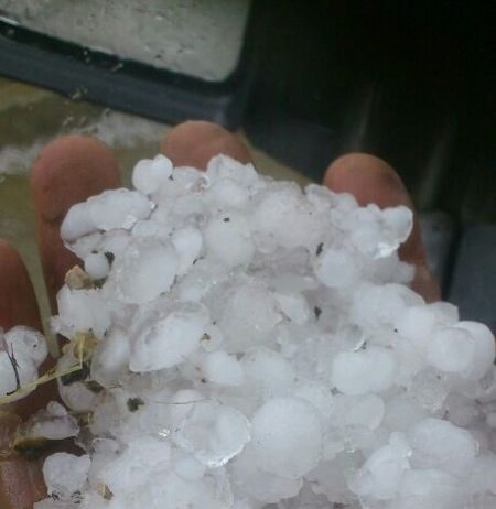 El retraso de la campaña y las tormentas complican la cosecha en Castilla y León El retraso de la campaña y las tormentas complican la cosecha en Castilla y León