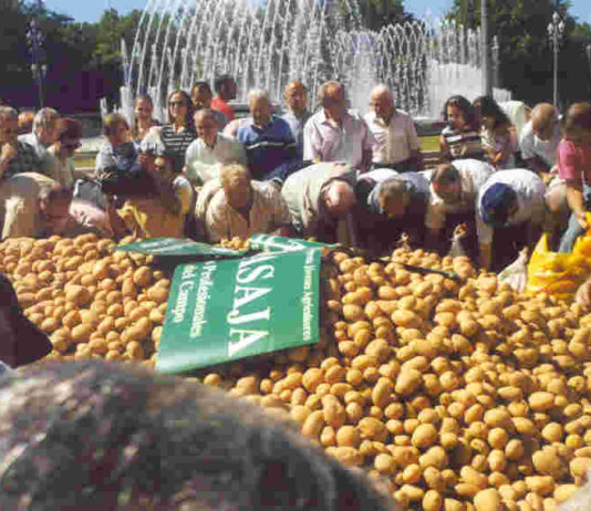 ASAJA SE MOVILIZA CONTRA LA CRISIS DE LA PATATA Y LA JUNTA ASUME SUS PROPUESTAS ASAJA SE MOVILIZA CONTRA LA CRISIS DE LA PATATA Y LA JUNTA ASUME SUS PROPUESTAS