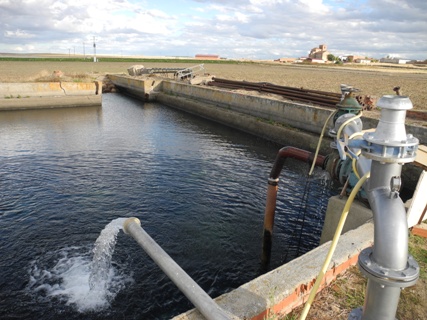 ASAJA pide a la Junta que oriente su ayudas a los agricultores y no a los propietarios de tierras ASAJA pide a la Junta que oriente su ayudas a los agricultores y no a los propietarios de tierras