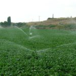 Ampliación de medidas de limitación de riego por sequía en el Duero ASAJA anima a sus socios a participar en la movilización convocada por las comunidades de regantes contra los precios de la electricidad