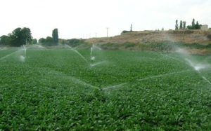 ASAJA anima a sus socios a participar en la movilización convocada por las comunidades de regantes contra los precios de la electricidad