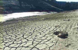 LA SEQUÍA CAUSA PÉRDIDAS MILLONARIAS EN EL CAMPO DE PALENCIA Y VALLADOLID
