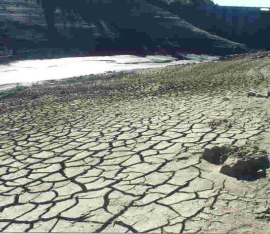 LA SEQUÍA CAUSA PÉRDIDAS MILLONARIAS EN EL CAMPO DE PALENCIA Y VALLADOLID LA SEQUÍA CAUSA PÉRDIDAS MILLONARIAS EN EL CAMPO DE PALENCIA Y VALLADOLID