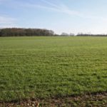 Herencias sin herederos y linces que se aprovechan ASAJA de Castilla y León se opone a cambios en la Ley de Arrendamientos rústicos