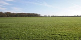 La Junta permite la recolección de cereal en las «zonas de no cosechado» del ecorrégimen de espacios de biodiversidad en las comarcas agrarias más afectadas por las adversidades climáticas ASAJA de Castilla y León se opone a cambios en la Ley de Arrendamientos rústicos