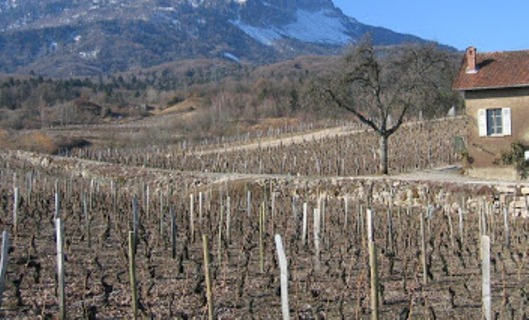 Hacienda inaugura el año con subidas del 50% en numerosas tasas que gravan actividades agrícolas Hacienda inaugura el año con subidas del 50% en numerosas tasas que gravan actividades agrícolas