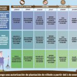 ¿Cómo puedo plantar viñedo a partir del 1 de enero de 2016? ¿Cómo puedo plantar viñedo a partir del 1 de enero de 2016?