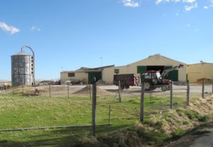 ASAJA pide la urgente convocatoria de los casi dos años pendientes de la ayuda de la junta al seguro de retirada de cadáveres de ganado