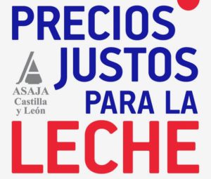 El martes 8 de marzo